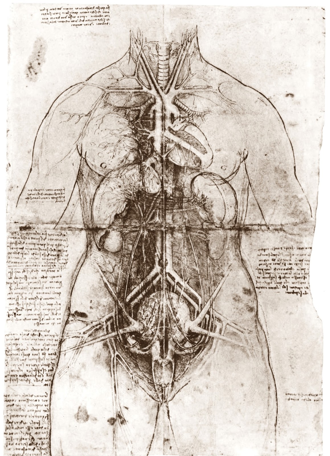 Leonardo+da+Vinci-1452-1519 (744).jpg